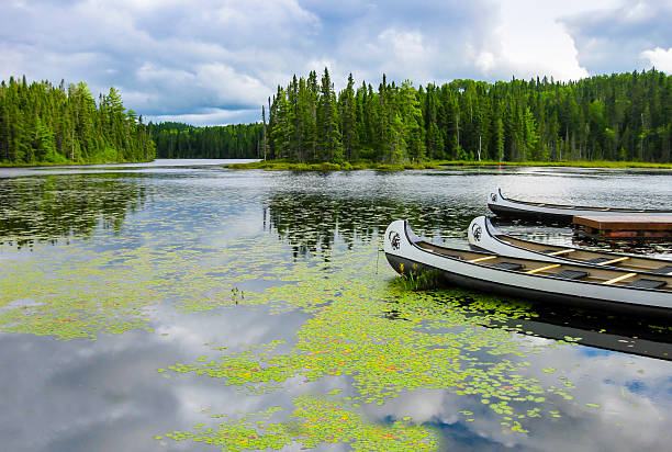 Canoes floating on a lake, Quebec, Canada stock photo