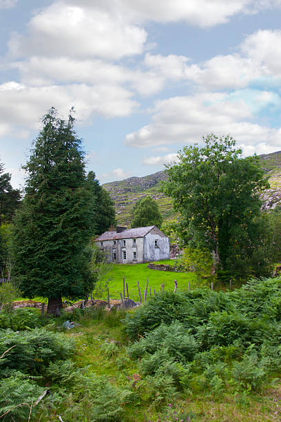 fattoria rovina abbandonato irlandese - republic of ireland irish culture cottage door foto e immagini stock