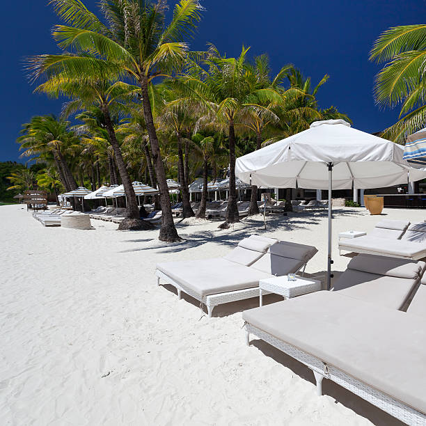 istock Sun umbrellas and beach beds on tropical coastline 464843282