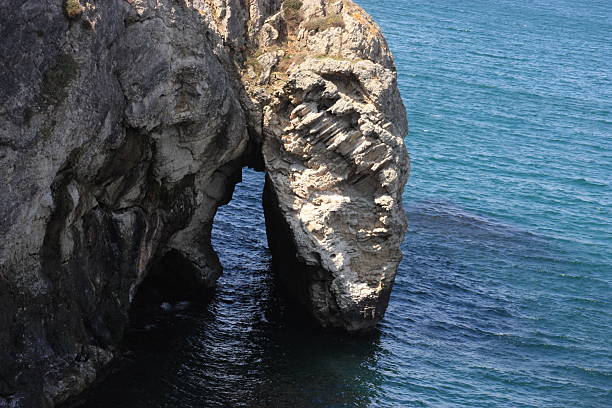 istock T-rex rock by the sea 464843768