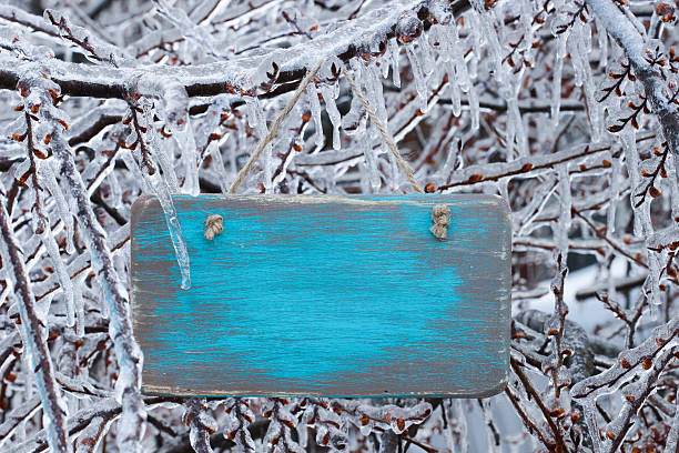 ブランク木製看板垂れ下がる氷に覆われた枝 - wood sign old plank ストックフォトと画像