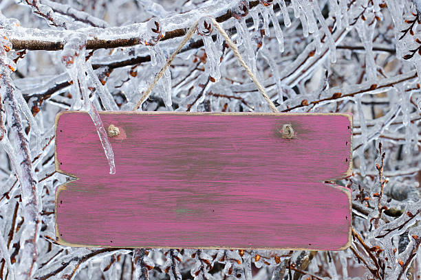 빈 핑크 목재 팻말 매달기 얼음 위에 덮힘 트리 - weatherd 뉴스 사진 이미지