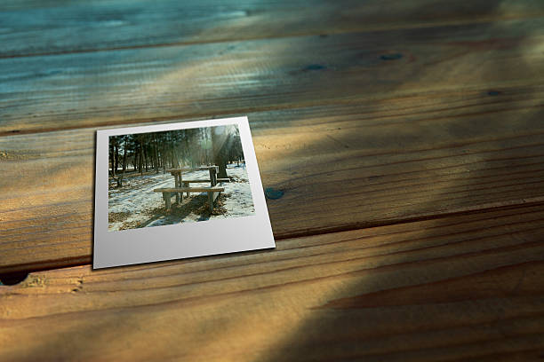 istock Film at the forest 464844651