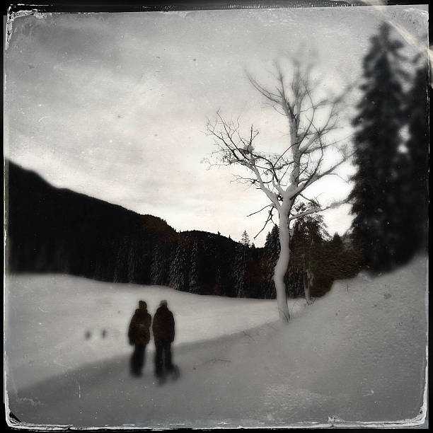 istock winter in the bavarian mountains 464845947