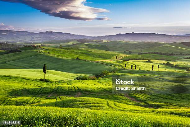 Green Valley Al Tramonto In Toscana - Fotografie stock e altre immagini di Agricoltura - Agricoltura, Alba - Crepuscolo, Ambientazione esterna