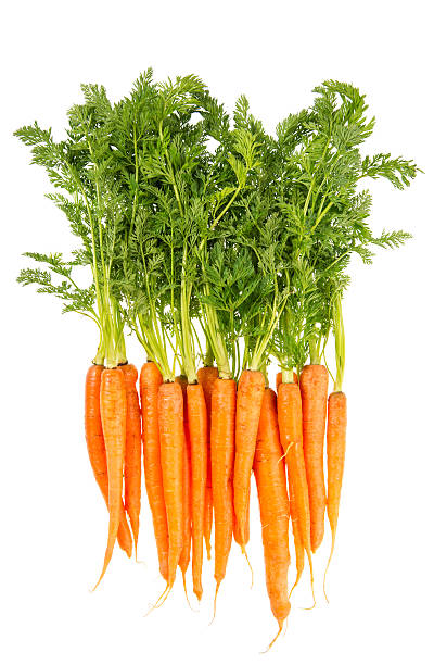 свежие морковь с зелеными листьями, изолированные на белом - carrot isolated white carotene стоковые фото и изображения