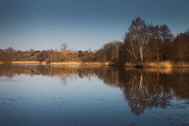 istock Beautiful Lake in Autumn 464847480