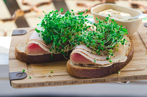 brécol sprouts con jamón y pan de centeno, mostaza - leaf vegetable salad child spring fotografías e imágenes de stock