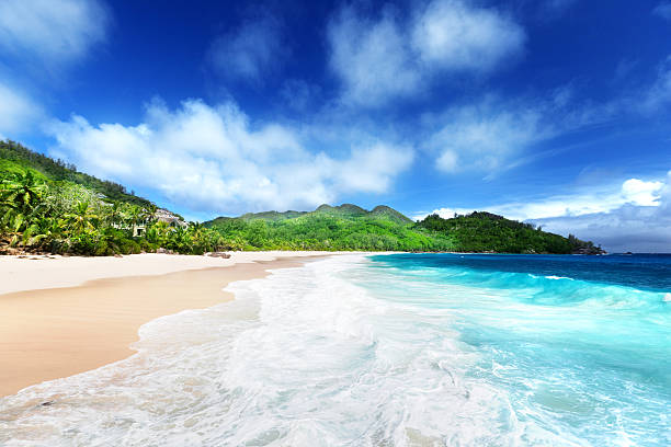 istock beach at Mahe island, Seychelles 464848656