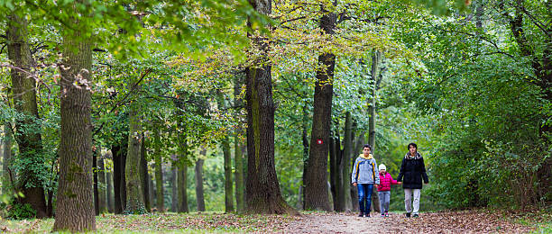 istock Family Walking on Trail Through Autumn Woods 464850180
