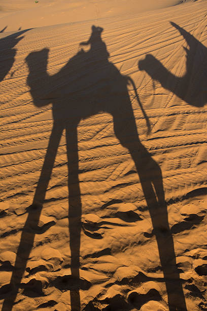 istock Camel shadow on the sand dune in Sahara Desert 464852470