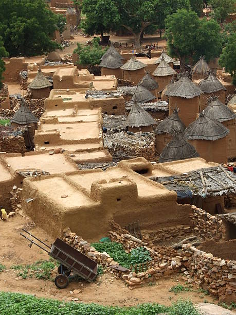 adobe villaggio africano - dogon tribe foto e immagini stock