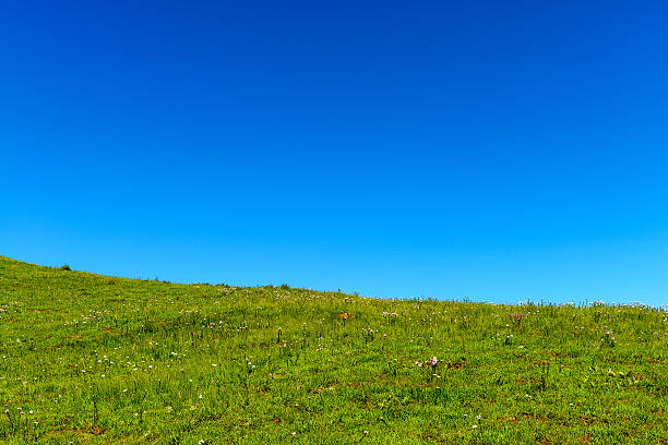 istock Hill,meadow and skyline,nature topic. 464853706