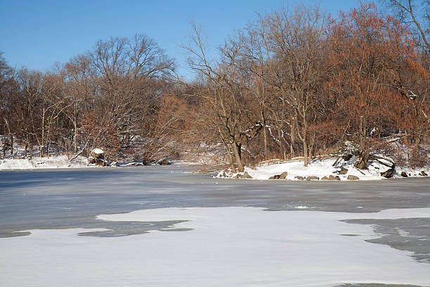 istock Frozen lake in Central Park at winter 464858599