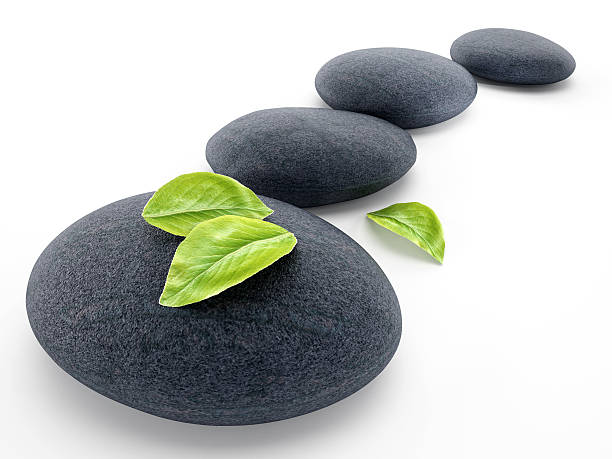 Black stones and green leaves isolated on white