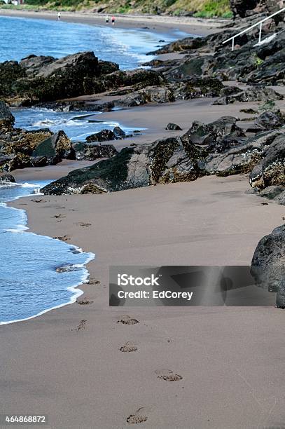Footprints In The Sand Stock Photo - Download Image Now - 2015, Beach, Coastline