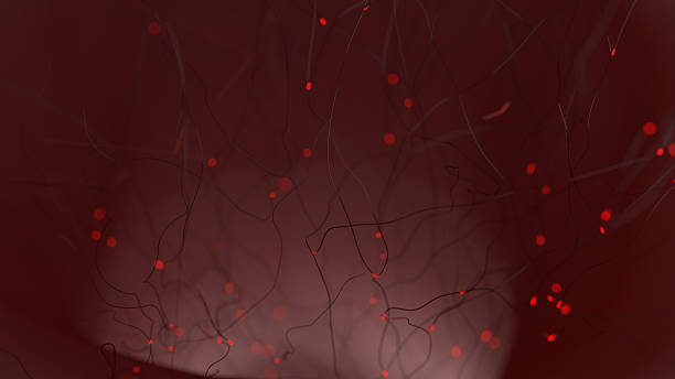 istock Concept of neurons and nervous system 464870299