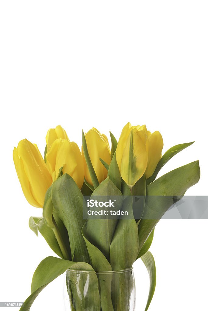 tulipani gialli - Foto stock royalty-free di Bouquet