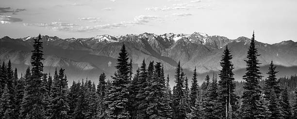 Early Morning Light Olympic Mountains Hurricane Ridge