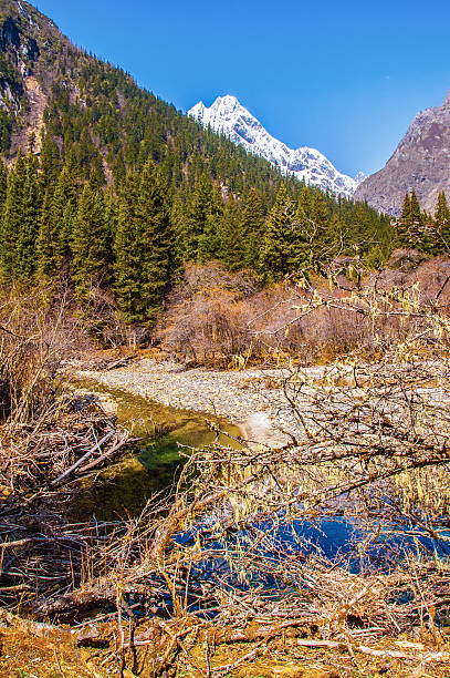 istock Changping valley scene of the Siguniang Mountain 464877288