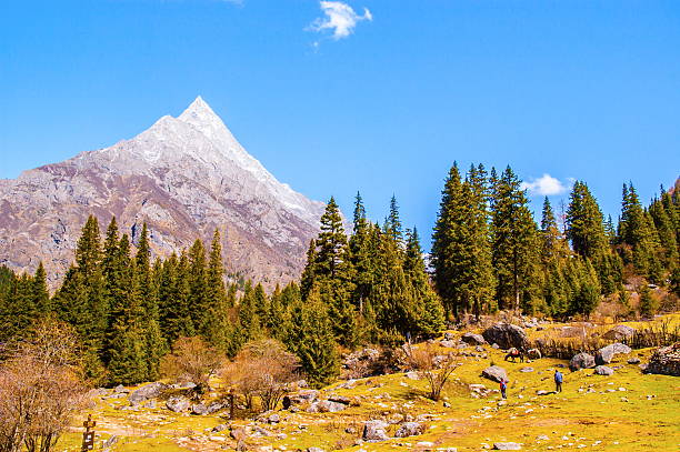 istock Changping valley scene of the Siguniang Mountain 464877290
