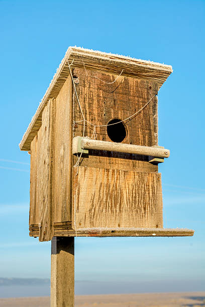istock Birdhouse on a post cold winter morning 464877945