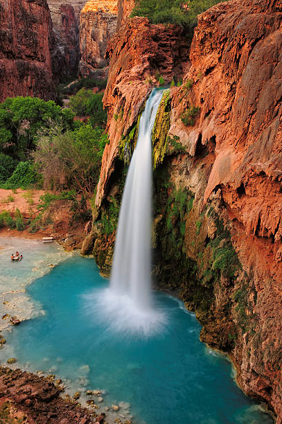 Waterfall Havasu Falls in Grand Canyon, Arizona, US Havasu Falls is known throughout the world. The vibrant blue water contrasts against the striking red rocks of the canyon walls as Havasu Falls plunges nearly 100 feet into a wide pool of blue-green waters. This, the most striking waterfall in the Grand Canyon. havasupai indian reservation stock pictures, royalty-free photos & images