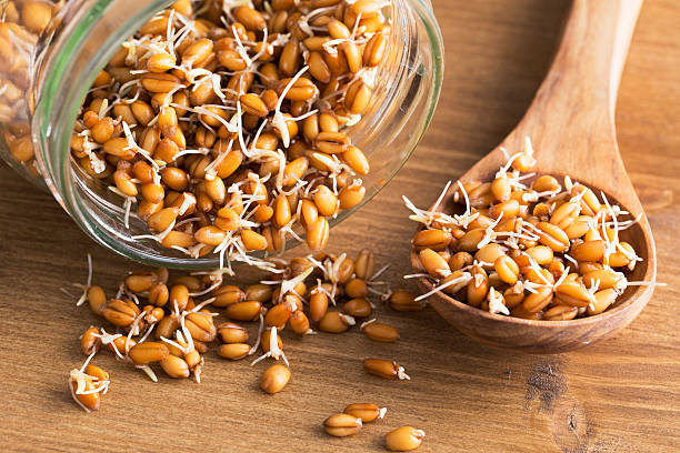 istock Sprouts in Wooden Spoon and Jar 464881314