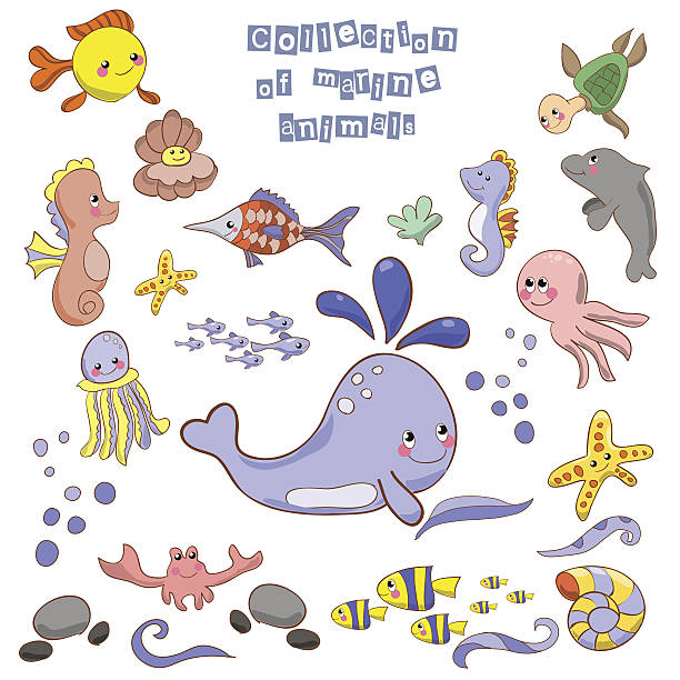 illustrations, cliparts, dessins animés et icônes de collection de poissons et animaux marins. - medusa