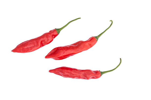 istock Variety of red Chili Pepper - Aji Angelo (Capsicum baccatum) 464884276