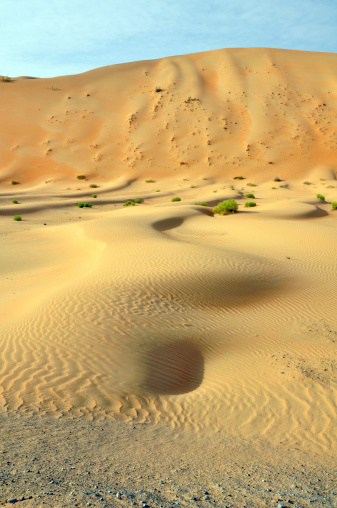 Wind-formed patterns in this collection of sand in the Arabian Desert, Abu Dhabi, UAE