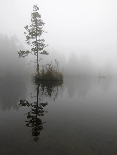 A tiny island in a foggy lake