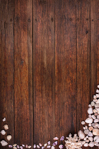 istock wooden deck background with seashells, summer sea vacation concept 464898180