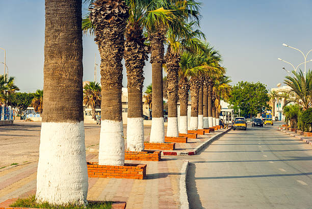 Cell tower disguised as a palm tree in Tangier, Morocco