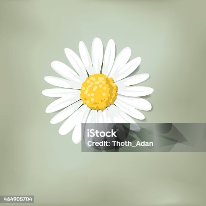 istock Single daisy on green background (Loves me, loves me not) 464905704