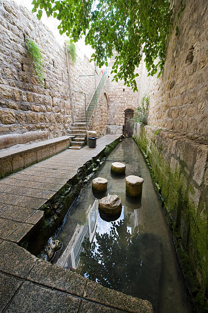 istock The pool of Siloam 464910190