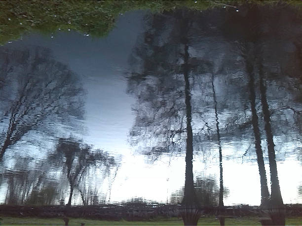 istock Reflections at Parco Lambro, Milan 464910300