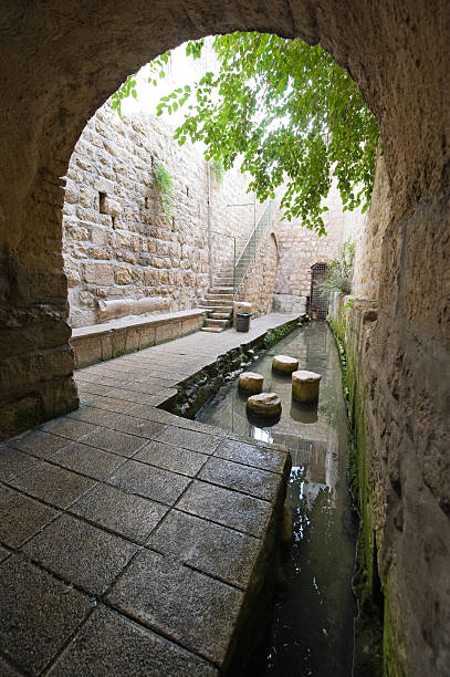 istock The pool of Siloam 464911666