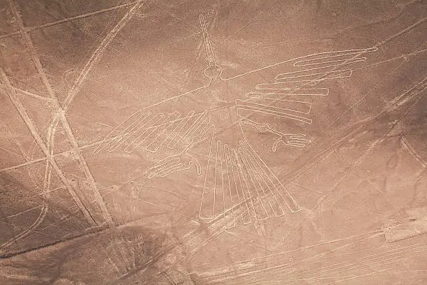 Condor, the Lines and Geoglyphs of Nazca desert, Peru