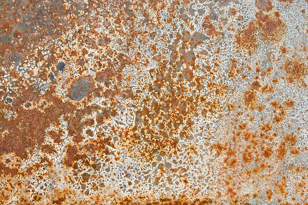 rust struktur - rust fungus rusty metal textured stock-fotos und bilder