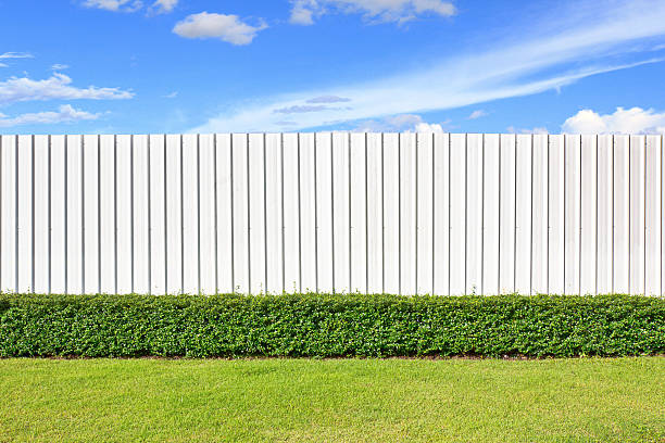 wall and garden Backyard with the metal sheet wall on clear sky day fence stock pictures, royalty-free photos & images
