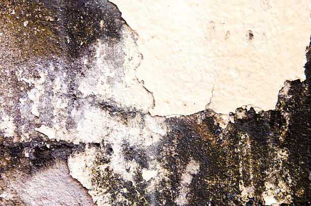 istock the concrete floor for the background 464918010
