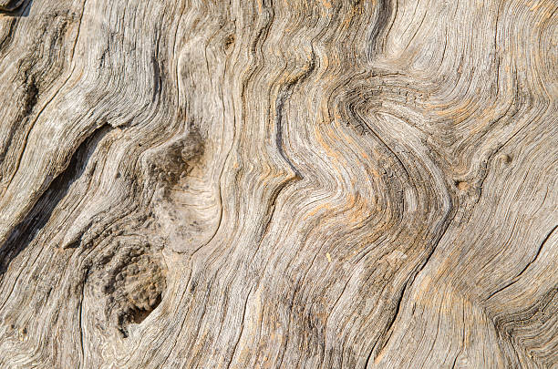 holz texture. hintergrund alte einsätze - sandelholz stock-fotos und bilder