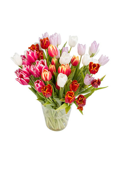 istock Bouquet of tulips isolated on white background 464921244