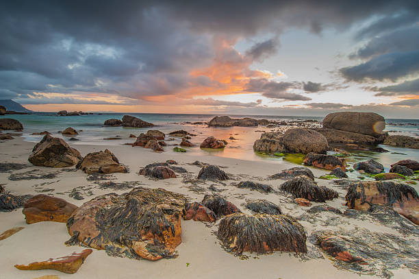 oceanscape all'alba - long exposure rock cloud sky foto e immagini stock