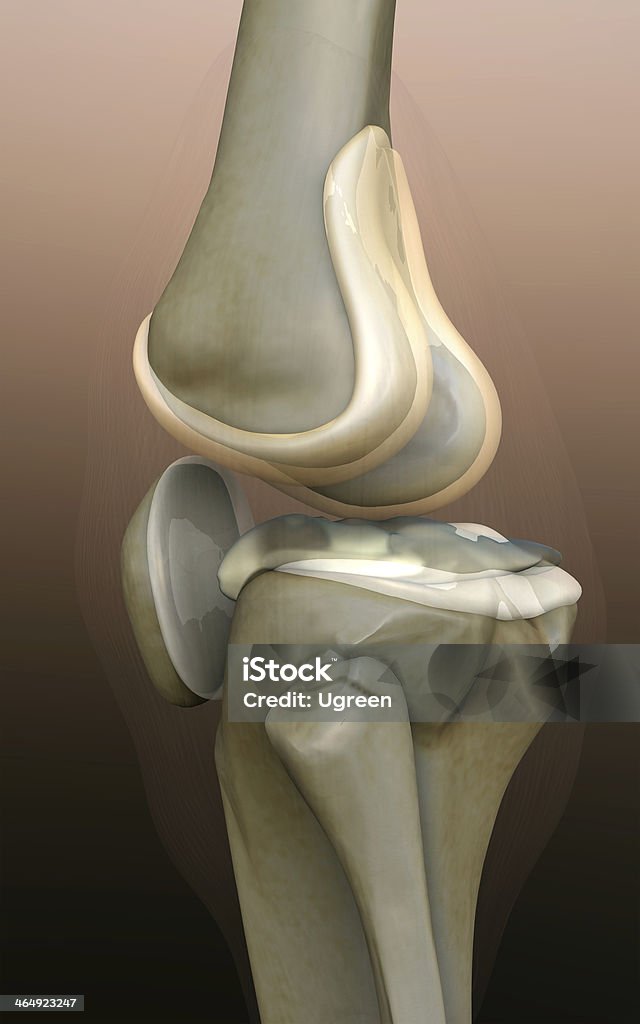 骨、人間の膝 - 3Dのロイヤリティフリーストックフォト