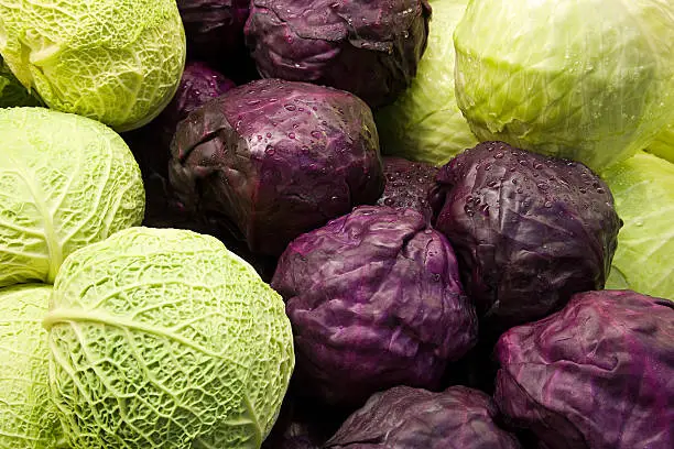 Photo of Cabbages