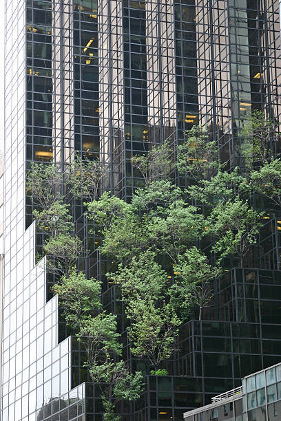 istock Greenery Amongst the Skyscrapers 464924304