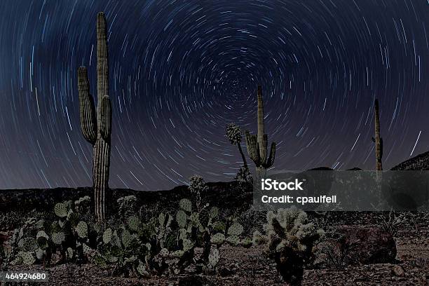 Desert Stock Photo - Download Image Now - Sonoran Desert, 2015, Arizona