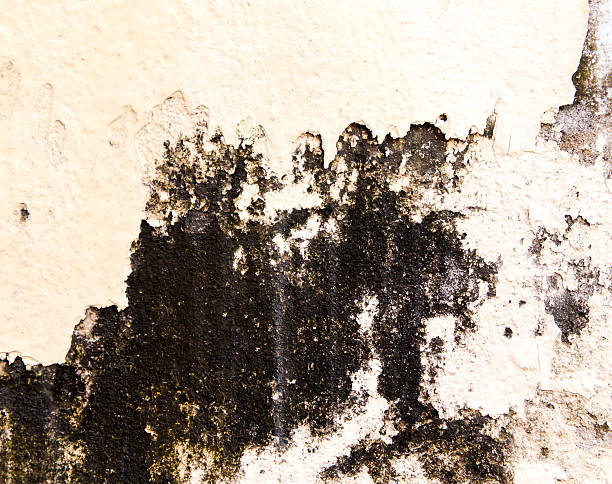 istock the concrete floor for the background 464924984